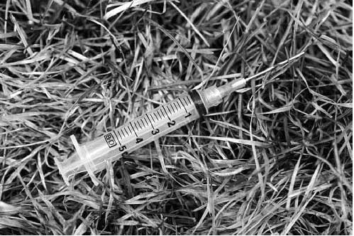 Needle-in-grass.jpg